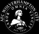 Wolverhampton City badge