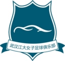 Wuhan Jiangda W badge