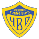 Young Boys badge