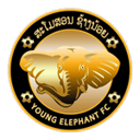 Young Elephant badge
