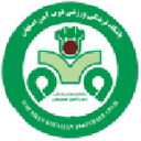 ZOB Ahan badge