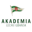 Akademia Piłkarska LG badge