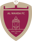 Al Wahda U23 badge