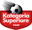 Superliga badge