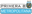 Primera B Metropolitana badge