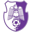 Arges Pitesti badge