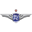 Bangkok United badge
