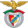 Benfica B badge
