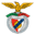 Benfica Castelo Branco badge