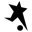 Black Stars badge