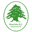 Boavista SC badge