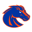 Boise badge