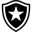Botafogo U20 badge