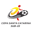 Copa Santa Catarina badge