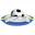 Sul-Matogrossense badge