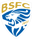 Brescia U19 badge