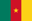 Cameroon W badge