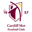 Cardiff Metropolitan U19 badge
