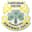 Castlebar Celtic badge