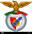CF Benfica badge