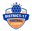 District 17 badge