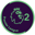 Premier League 2 Division One badge