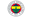 Fenerbahce W badge