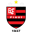 Flamengo PI badge