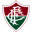 Fluminense W badge