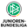 U19 Bundesliga badge