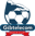 Premier Division badge