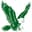 Green Eagles badge