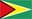 Guyana badge