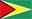 Guyana W badge
