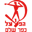 Hapoel Kfar Shalem badge