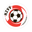 HZVV badge