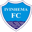 Ivinhema badge