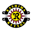 Kashiwa Reysol badge