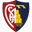 Montevarchi Calcio badge
