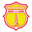 Nam Dinh badge