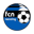 Nenzing badge
