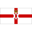 Northern Ireland badge