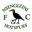 Nsingizini Hotspurs badge