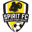 NWS Spirit badge