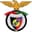 Penya Encarnada badge