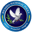 Police badge