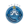 Puebla badge
