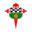 Racing Ferrol badge