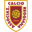 Reggiana U19 badge