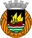 Rio Ave W badge